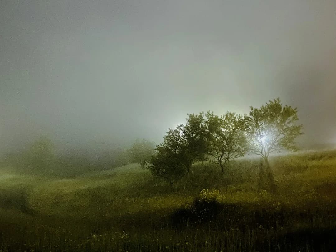 Summer color season mood