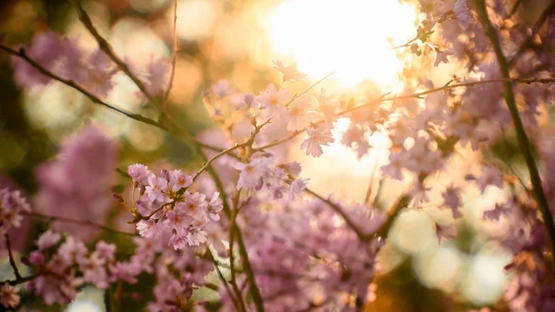Spring color season mood