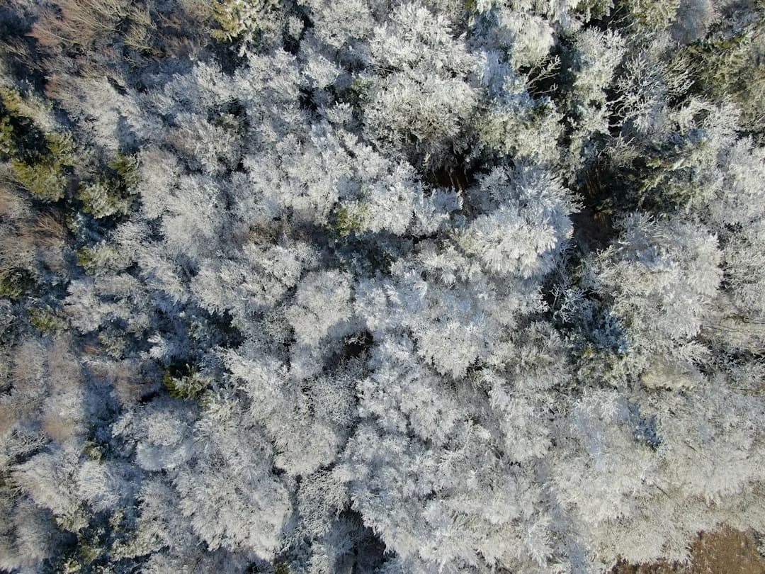 Winter color season mood